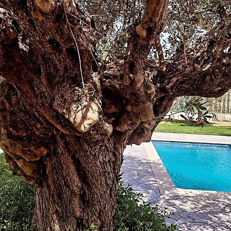 Olive Sense Villa Afantou Buitenkant foto