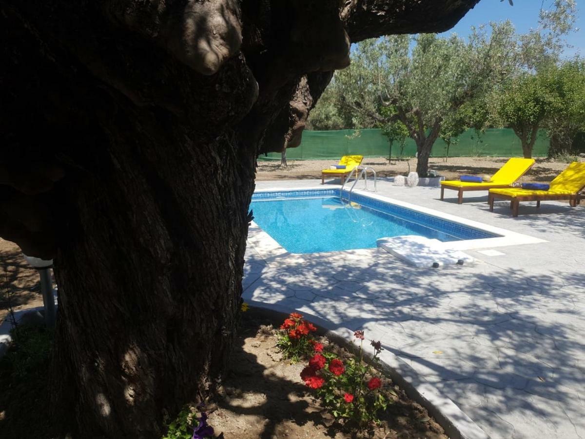 Olive Sense Villa Afantou Buitenkant foto