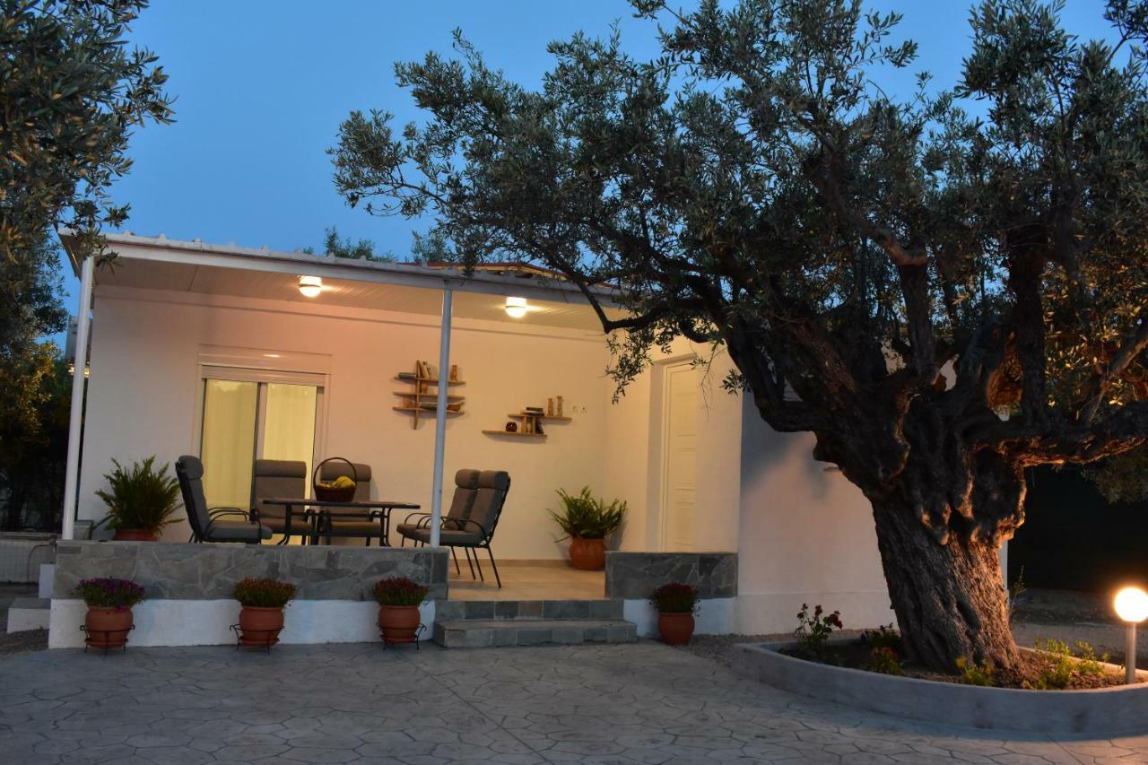 Olive Sense Villa Afantou Buitenkant foto